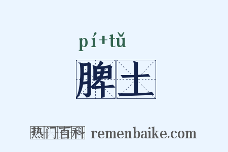 脾土是什么意思的图片